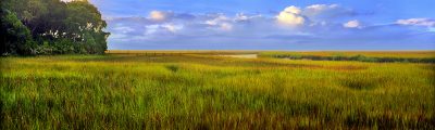 Amelia Island Overlook