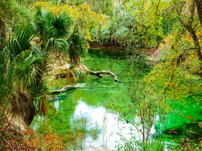 Blue Spring
