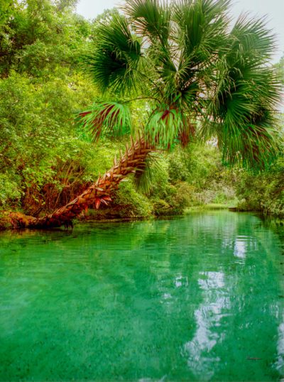 Rock Springs Run