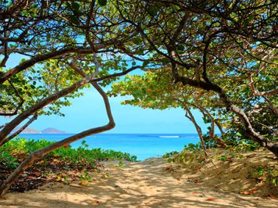 Private Path