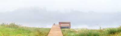 Fog On The Lake