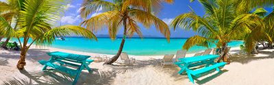 Island Picnic