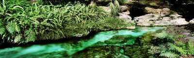 Rock Springs