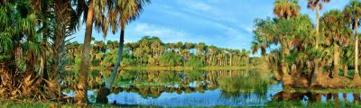 St. Johns River