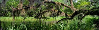 Ichetucknee River