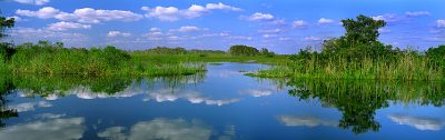 Florida Everglades Series 2