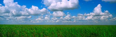 Florida Everglades Series 3