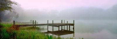 Foggy Reflection