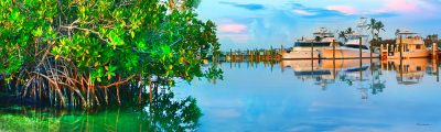 Mangrove Marina