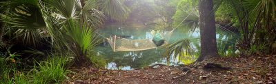 No Phone No Fax
