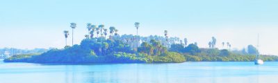 Palm Island