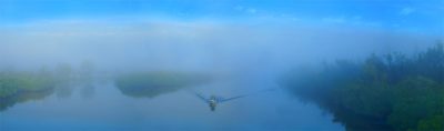 Through The Mist