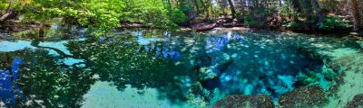 Secret Springs