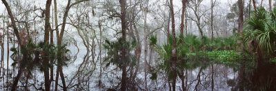 Somewhere in Florida