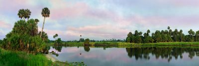 St Johns River Panorama
