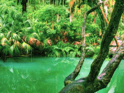 Green Springs