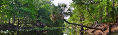 Along Deep Creek