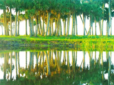 River Morning