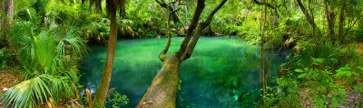 Green Springs