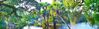 Econlockhatchee Cove