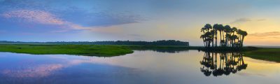 Morning Mirror