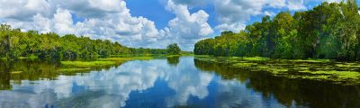 Wekiva River, Florida