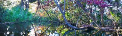 Autumn In Florida