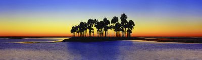 Silhouettes