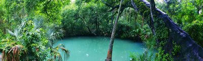 Panoramics
