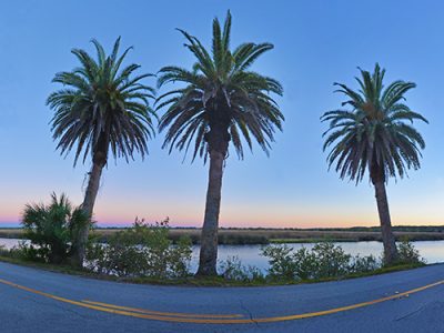 Along The Loop, Ormond Beach