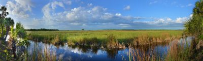 Everglades Afternoon