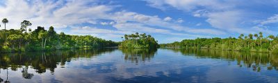 Along The Tomoka