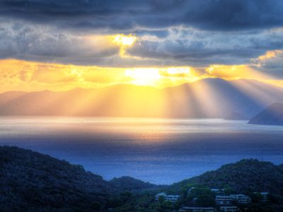 Sea Rays
