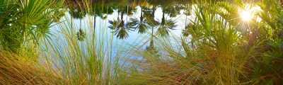 Sunset Pond