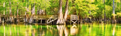 Along The Ichetucknee