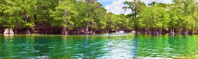 Down At The End Of The Ichetucknee