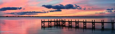 Florida Postcard