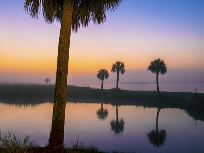 Sunrise Five