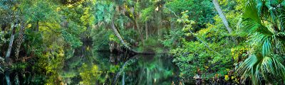 Blackwater Creek