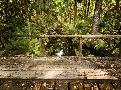 One Fine Old Bridge