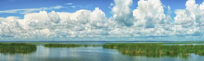 Lake Apopka