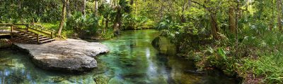 Rock Springs Run