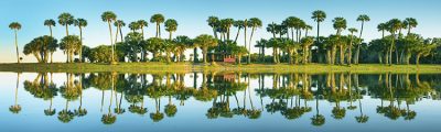 Little Red Resort