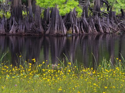 Deep Creek