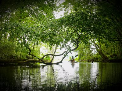 Blackwater Creek