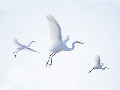 Liftoff