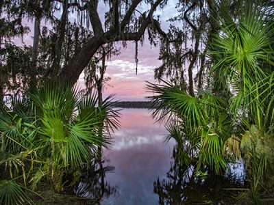Lake Jesup