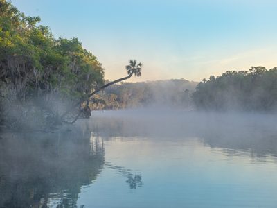 Sunrise Fog On The St. Johns