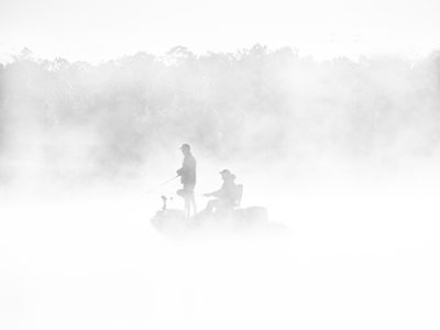 Fog Fishing