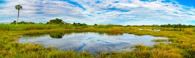 Pure Wetlands